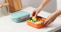 12 Best Healthy Lunch Box Containers in 2026