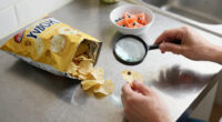 fda potato chip salmonella warning