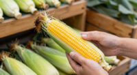 The #1 Way You’re Ruining Your Fresh Summer Corn Before You Even Leave The Store