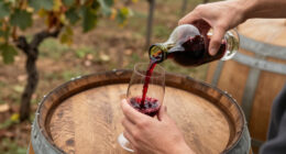 Best Italian Proverb Of The Day: “Good Wine Comes In Small Barrels” A Life Lesson On Quality Over Quantity