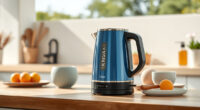 Summer Care Tips for Your Ninja KT200BL Precision Temperature Kettle