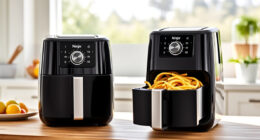Summer Care & Troubleshooting for the Ninja Foodi 10 Quart Air Fryer