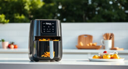 Summer Care & Troubleshooting for Your Ninja DoubleStack XL Air Fryer