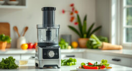 Summer Care & Troubleshooting for Your Ninja Food Processor
