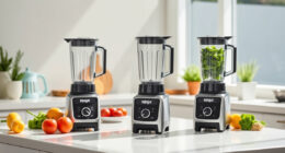 Summer Care & Troubleshooting Guide for Ninja Professional Blender