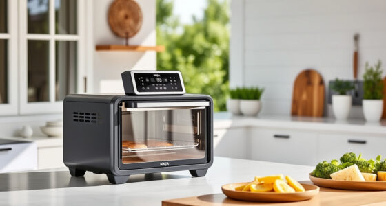 Summer Tips & Hacks for Your Ninja Foodi XL Pro Air Oven
