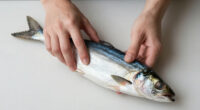 FDA Issues Warning About Cold Smoked Fish Because Of Botulism Risk; Company Refuses To Recall Product