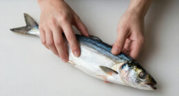 FDA Issues Warning About Cold Smoked Fish Because Of Botulism Risk; Company Refuses To Recall Product